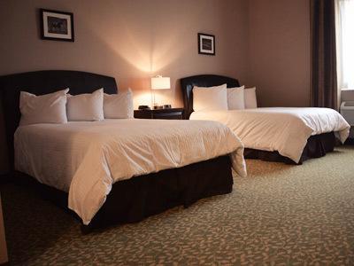 Belvedere Inn Schenectady - Albany Bilik gambar